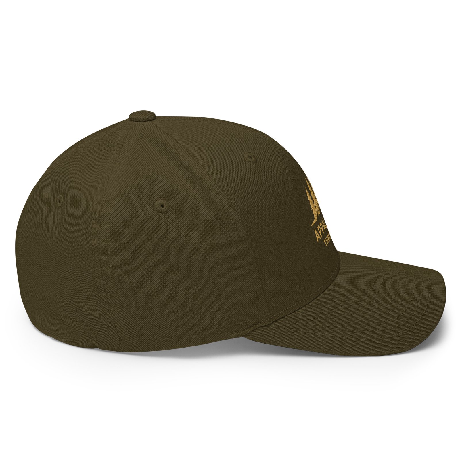 APP Threads Structured Twill Cap - Image 5